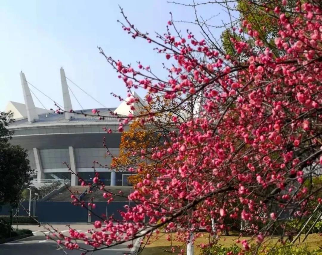 杭州美职学校风景,杭州美丽学校评选