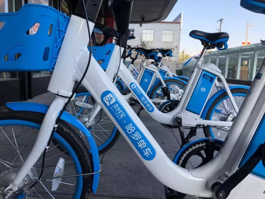 烧钱的ofo：租市中心办公室，买最贵健身器材，员工无发票报销7万