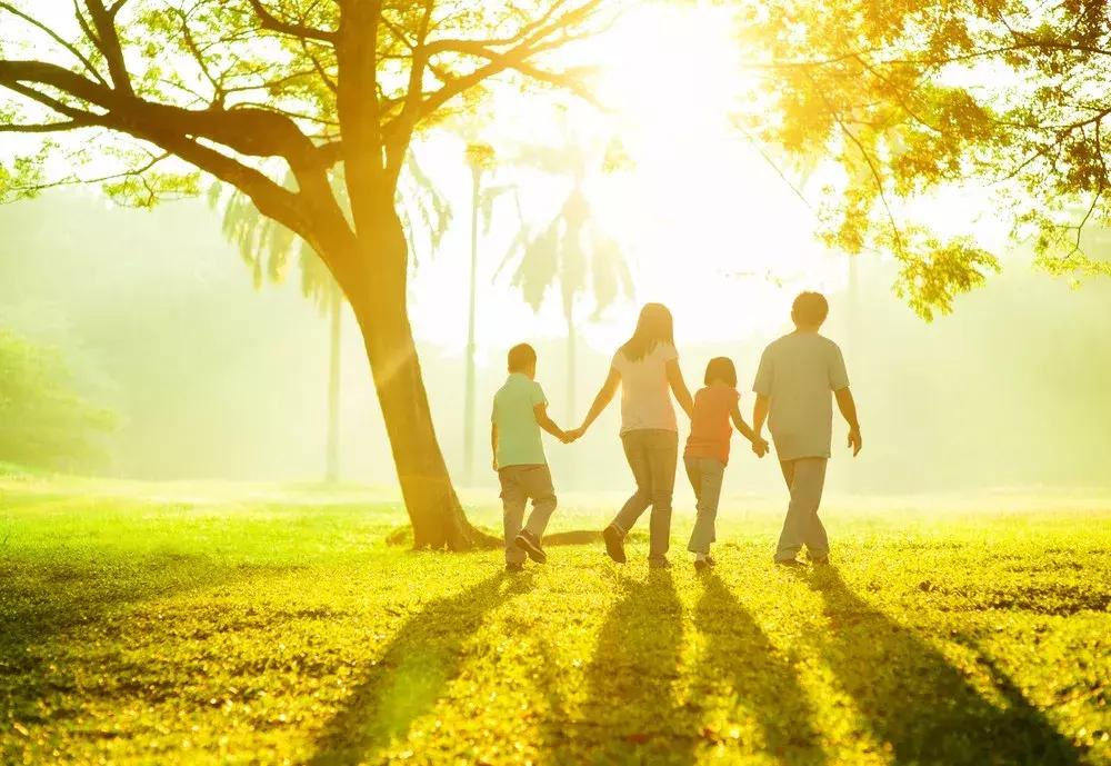 中医四季五脏养生方子,五脏都寒最佳调理方子