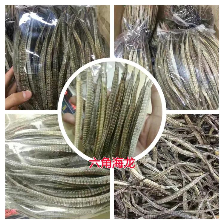 海陵岛闸坡渔港,海陵岛闸坡世界级渔港码头