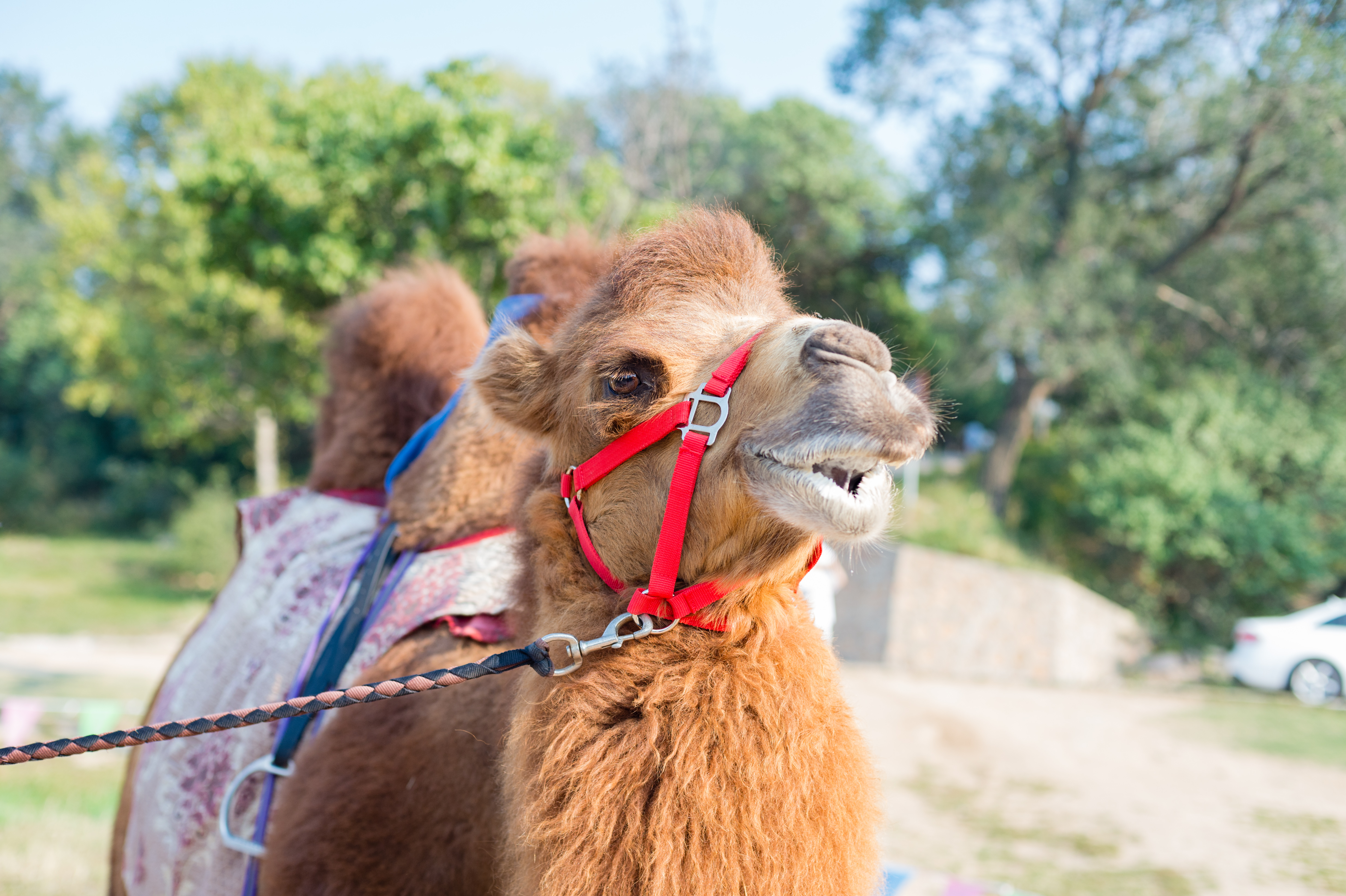 业余时间如何靠手机摄影提高收益,摄影爱好者如何通过拍照挣钱
