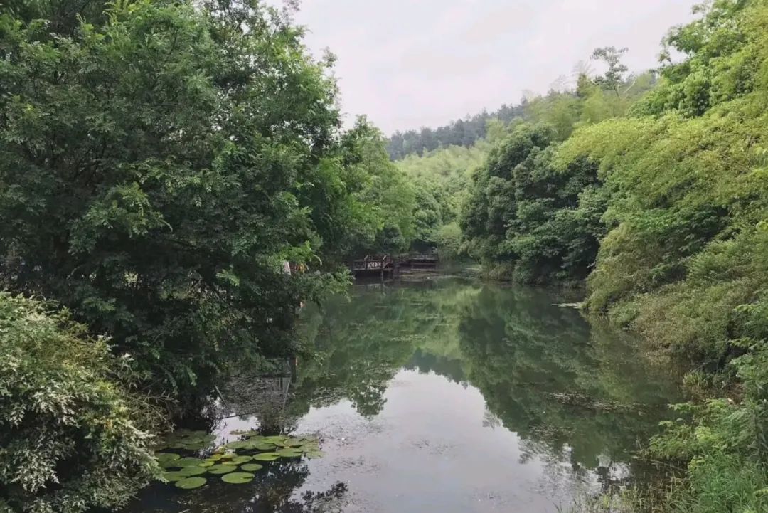 乾隆六下江南七次到过的地方,乾隆下江南去过几次天宁寺