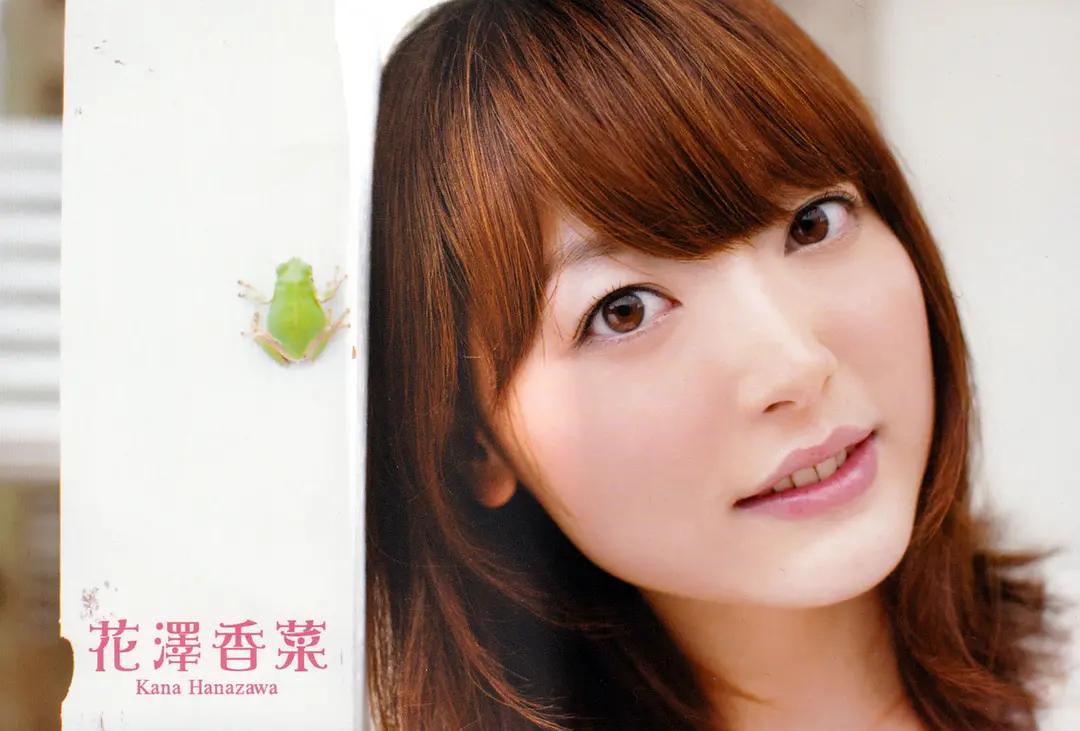 四月最强护夫番,四月最强新番推荐