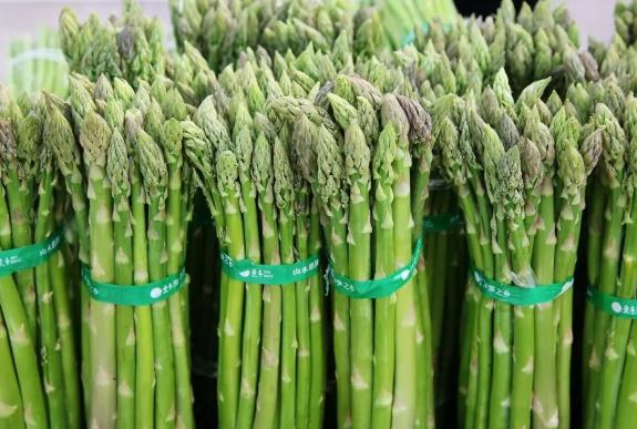 芦笋种上几年产量大,怎样种植芦笋收益大