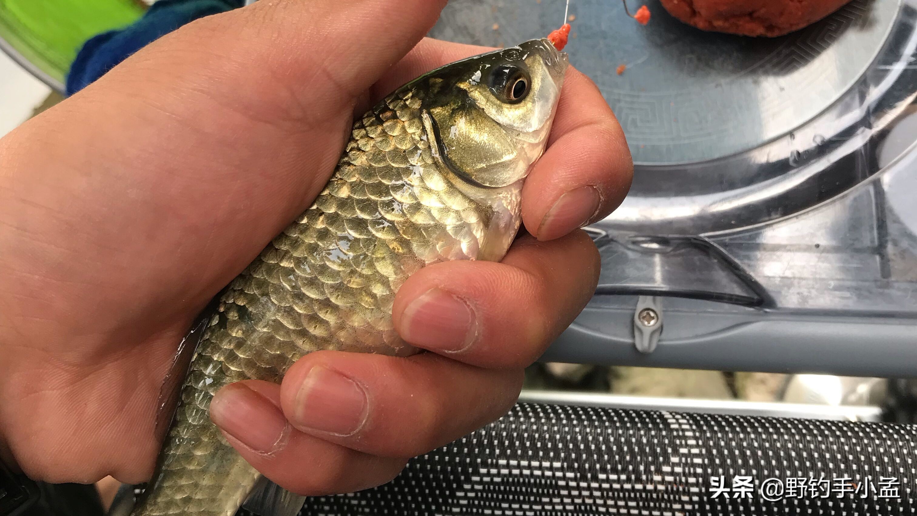 新手用无刺钩还是用有刺钩,新手用无刺钩