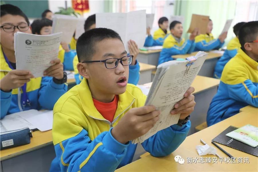 安平志臻中学本科率,安平志臻学校成立简介