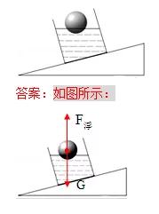 全品中考复习方案物理答案,中考物理专题复习教学视频