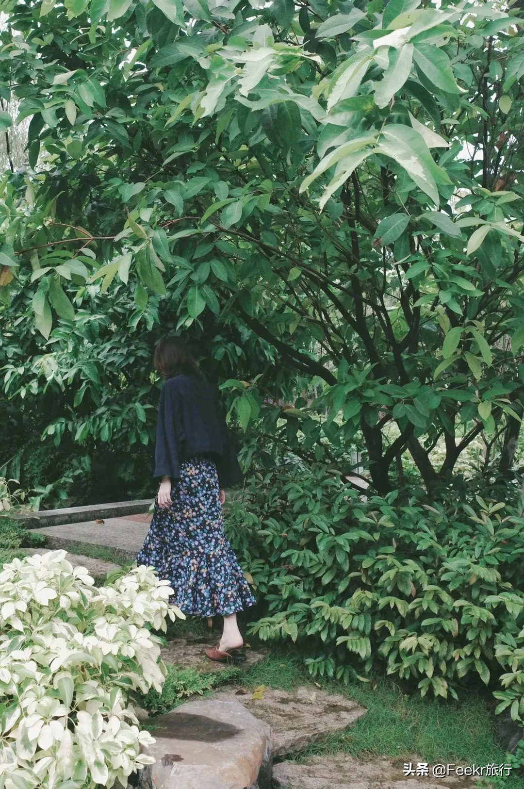 私藏菲律宾同款空中佛手，落胃美食从早吃到晚，这座广东小城该火