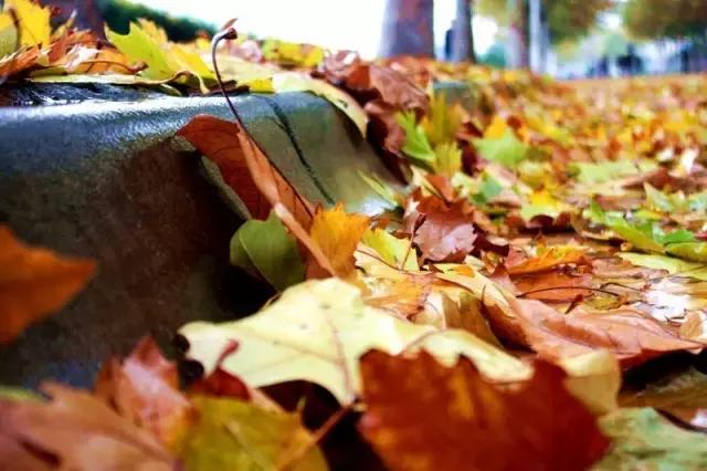 西法大青春力量,西法大