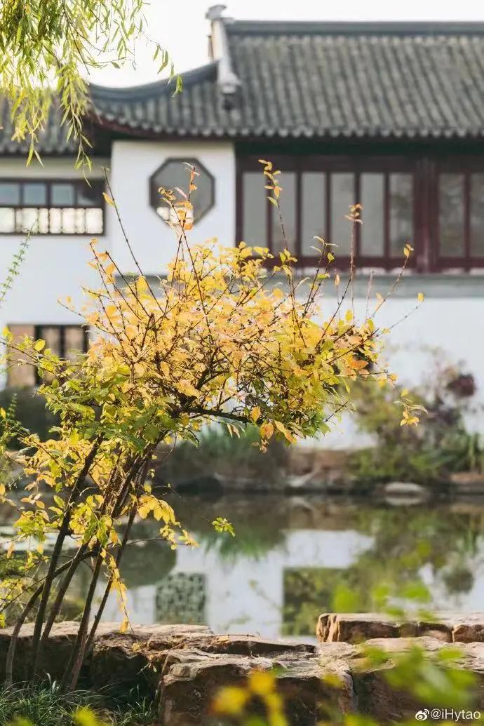 创森进行时丨立冬后，我把丰台的秋，收进了相册里