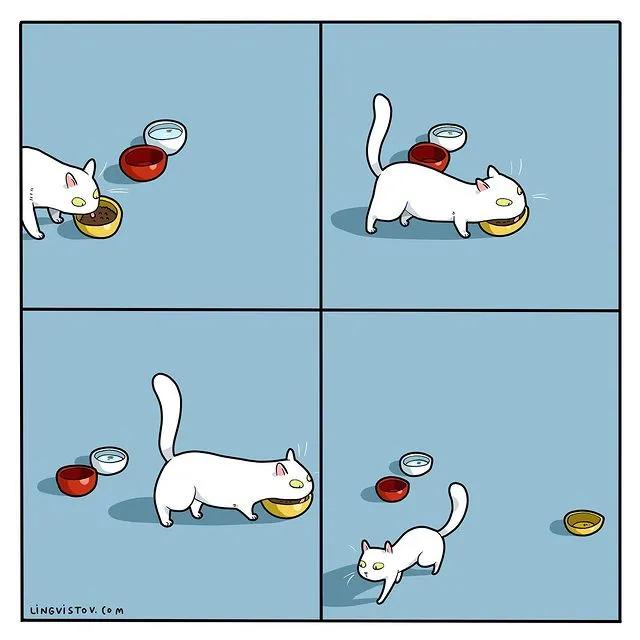 沙雕猫片，笑到床塌！自从做了卑微的铲屎官，比一个人时刺激多了