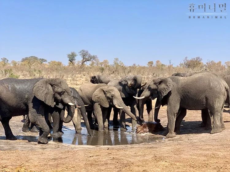 韩国寄生虫深度解析,寄生虫韩国结局