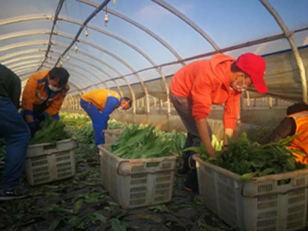 閾佽矾鐗╄祫鏀彺姝︽眽,鍏ㄥ浗楂橀搧鏀彺姝︽眽鐗╄祫