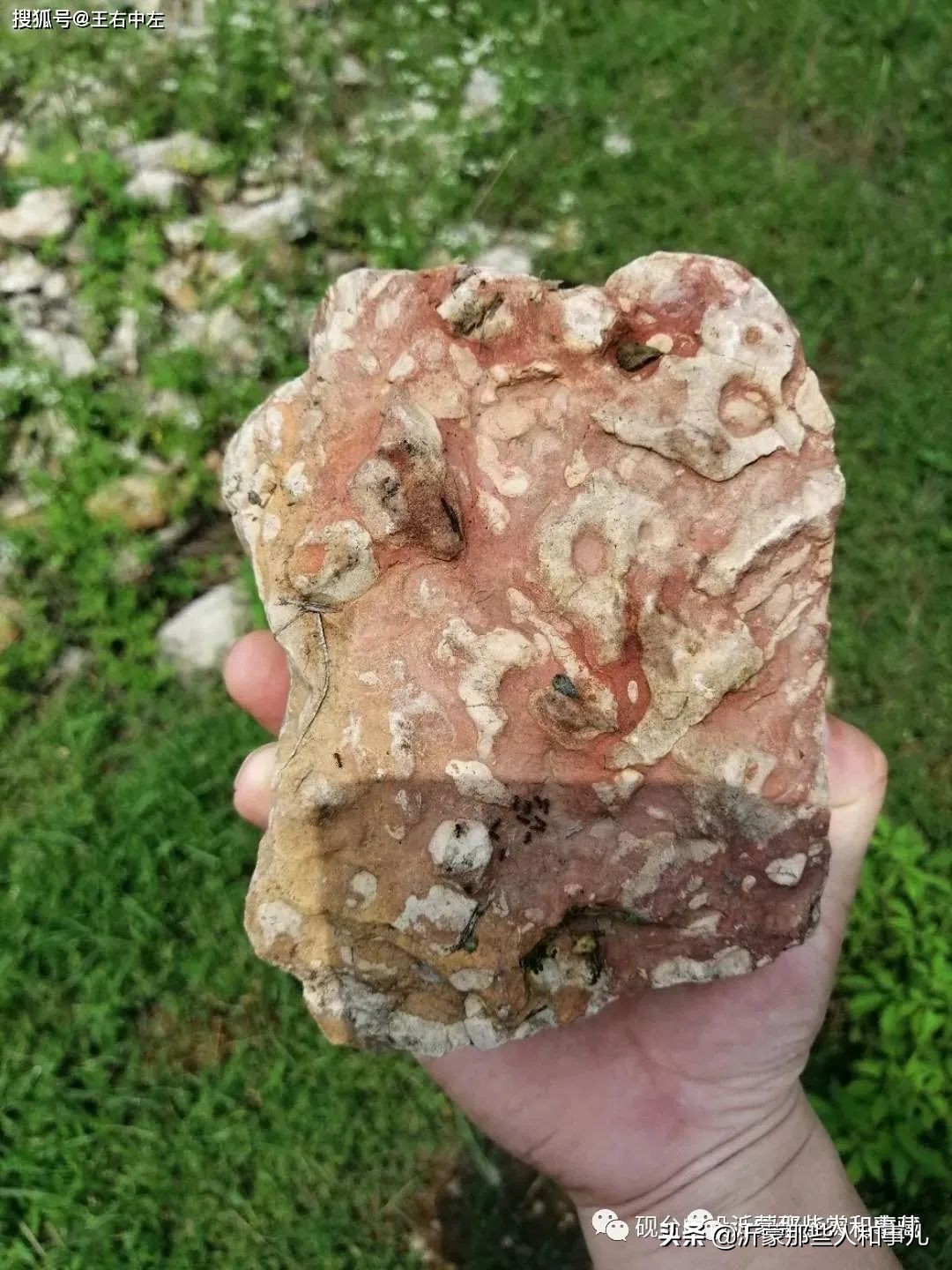 临沂砚味儿，琅琊文气，就在这里了