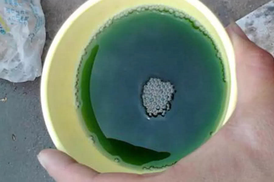 钓了这么多年鱼,有人钓到100多斤的大鳄龟