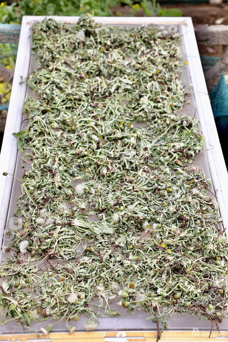 曾经的新安小香港,今日物是人非,探访洛阳水泥厂工人村