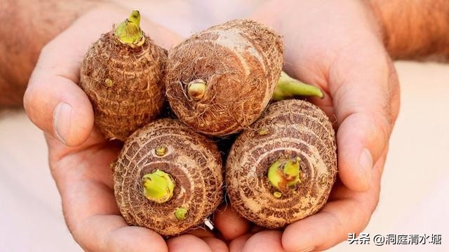 牛奶芋头好吃又软又糯,又香又软滑的芋头