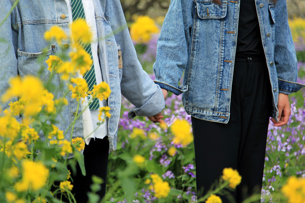 春游江淮请你来滁州版,春游江淮等您来