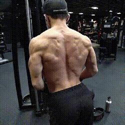 17岁男孩体重290斤,17岁男孩腿部推举