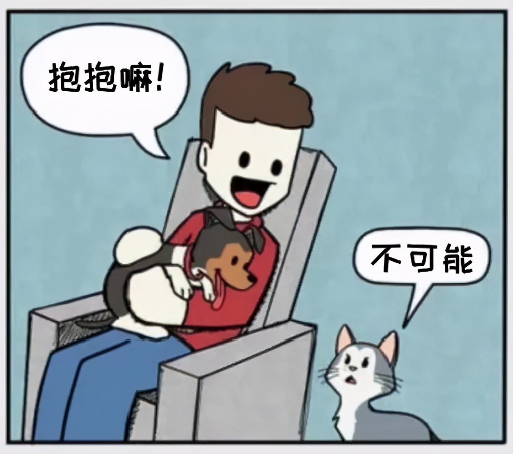 猫和铲屎官漫画全集,铲屎官和狗子的漫画