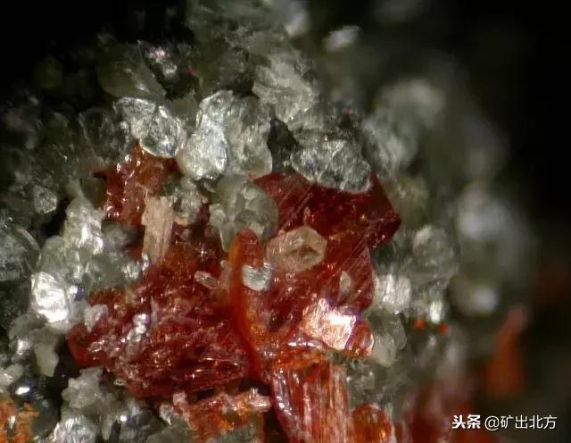 看到哪些标志要远离呢,看到这几种东西千万不要捡