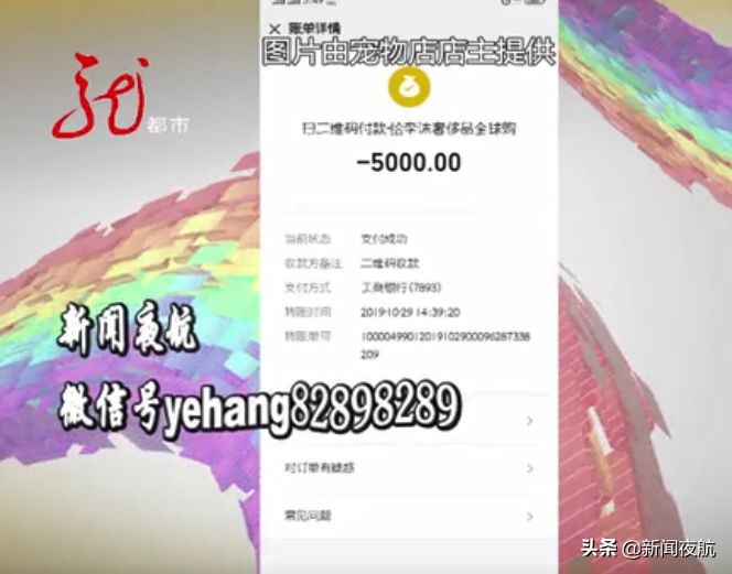 这俩人带宠物狗到处打疫苗，打完疫苗狗就死亡！咋回事？哈尔滨多家宠物店都见过他们