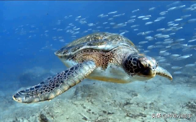 夏天防晒防紫外线推荐,防晒指南今夏不可错过的防晒