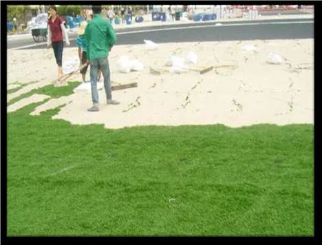 免填充人造草坪的前景,人造草坪威腾