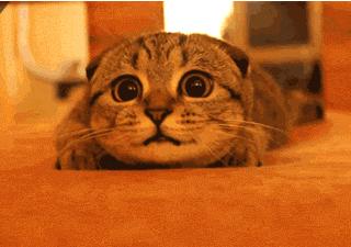 为什么测温枪测的温度特别准确,测温枪与测温仪哪个准确