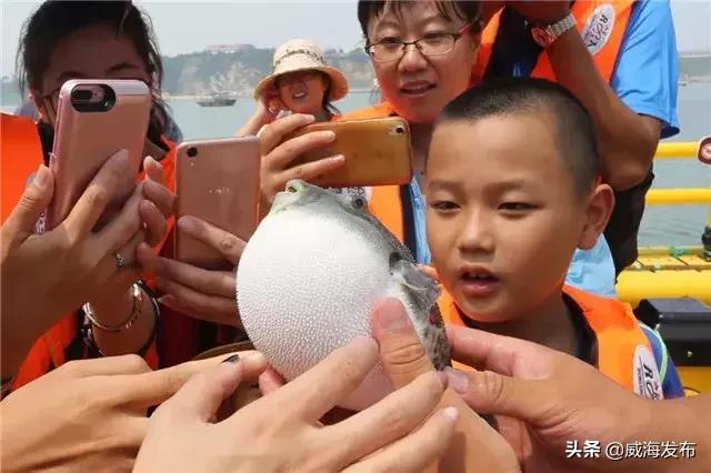 威海端午节去哪里旅游最合适,威海端午