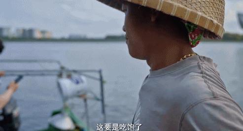 被央视表扬的b站up主,b站up主真实故事