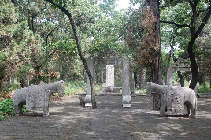 孔林是最大的氏族墓地吗,孔林最大墓葬群