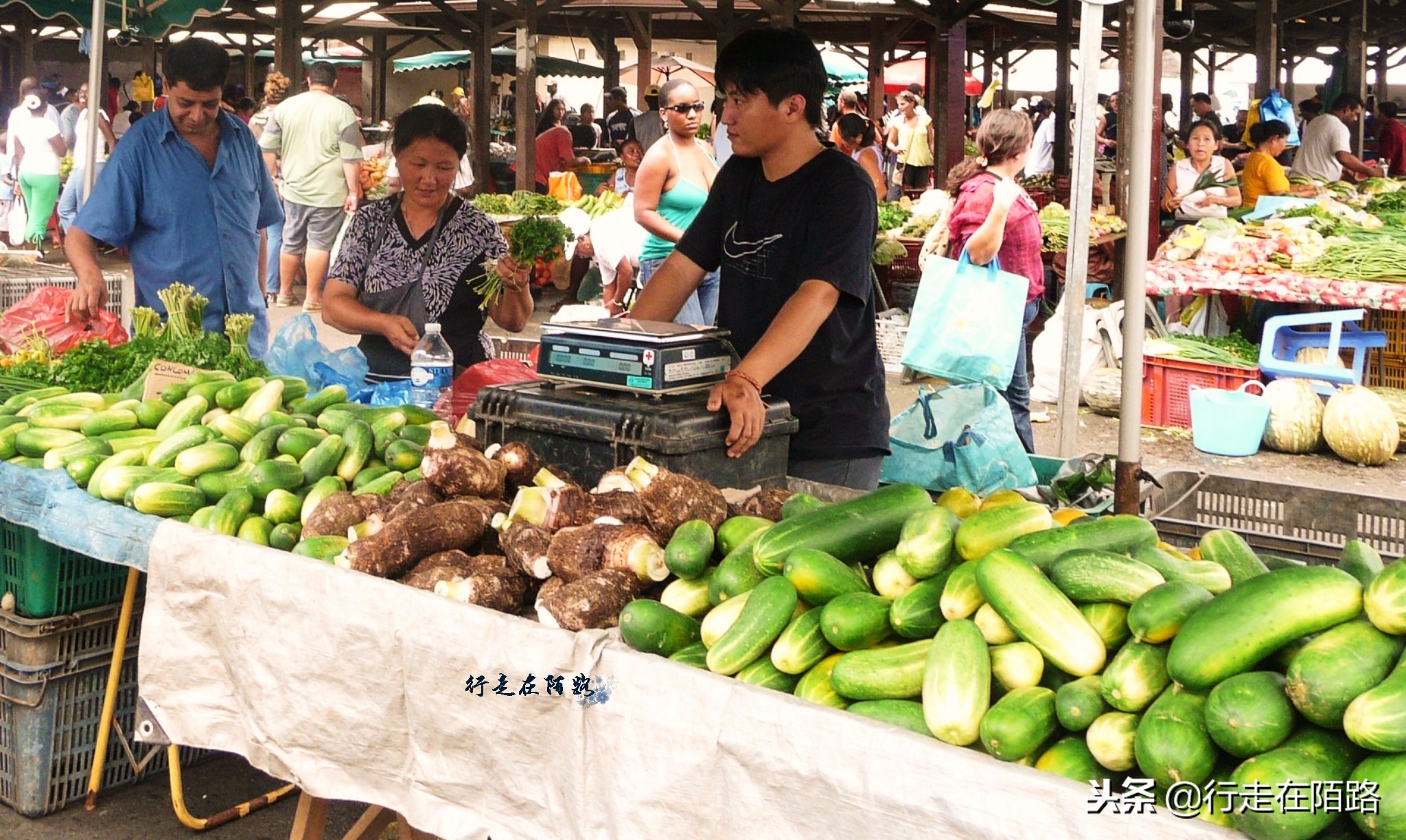 南美唯一欧元城市：居民多数是囚犯后代，享受欧盟福利待遇