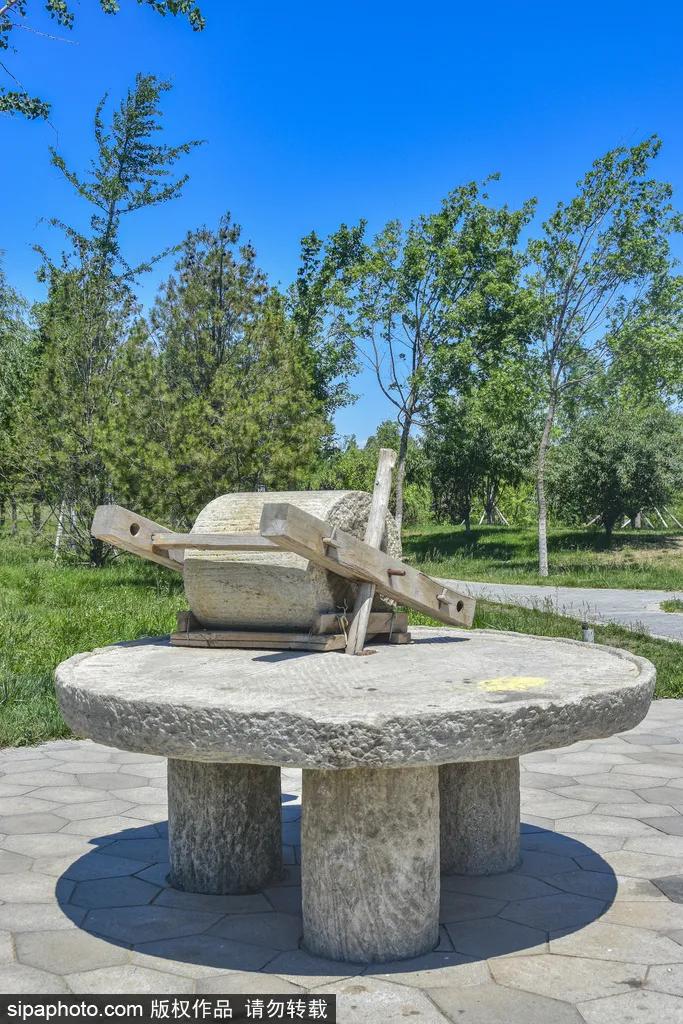 北京市的一处网红公园,不收门票的网红公园