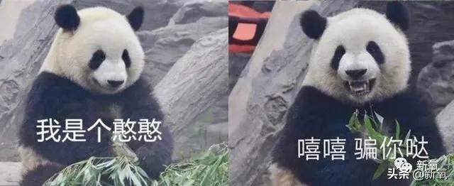 剧中绿茶婊始祖这次竟然秒杀了刘亦菲，她终于被扶正了…