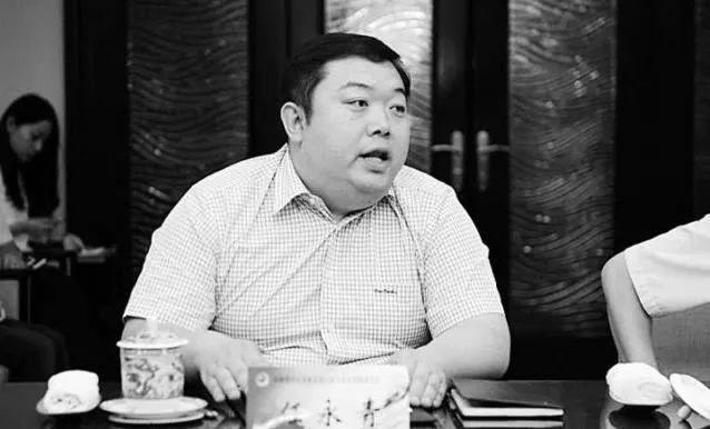 山西晋中德御系资本运作,山西晋中德御系项目有哪些