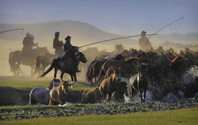 为什么有些人只适合融入小团体,那些喜欢搞小圈子小团体的人