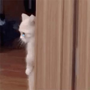 这一刀太狠了,这一刀太狠了原版