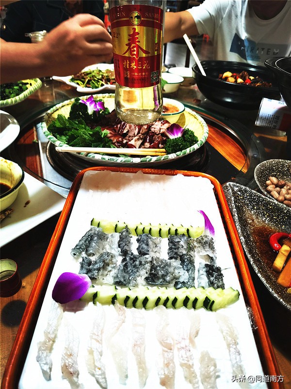 耀眼世界杯,欧洲杯直播比利时荷兰