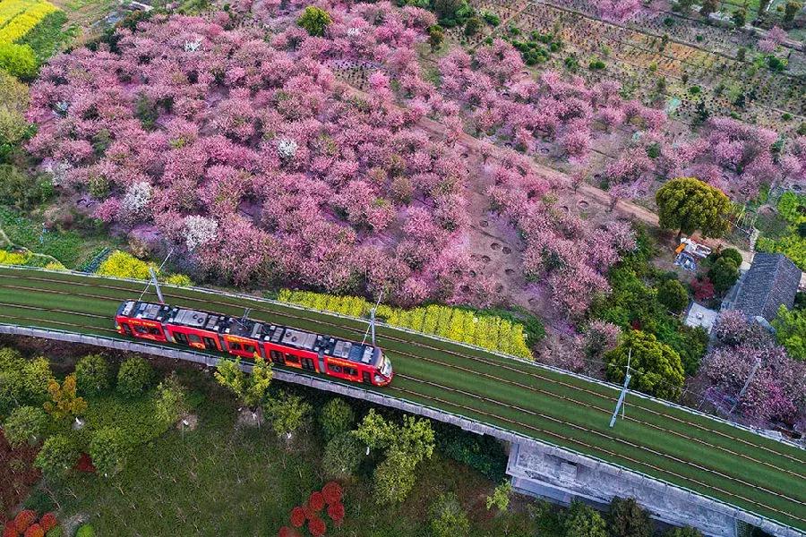 苏州有几个科技城,苏州一个充满无限可能的城市
