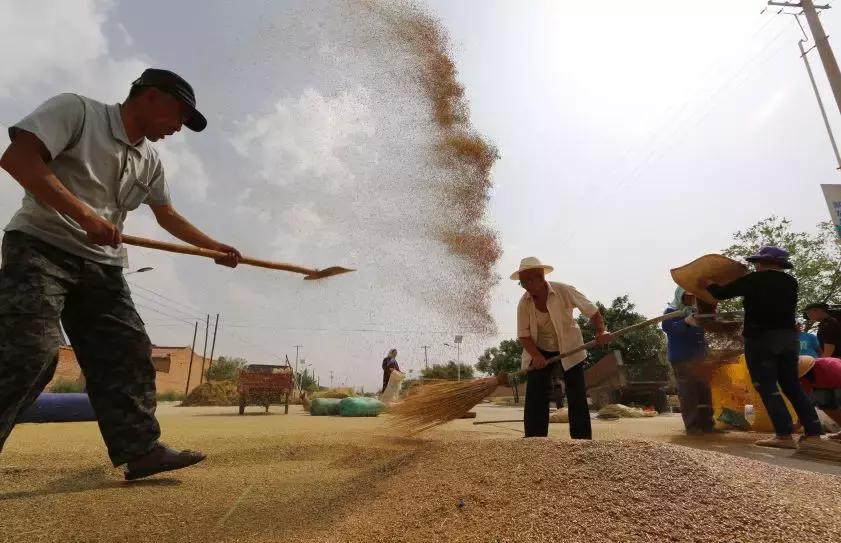 补贴来了速看领取方式,惠民一卡通都能领什么补贴