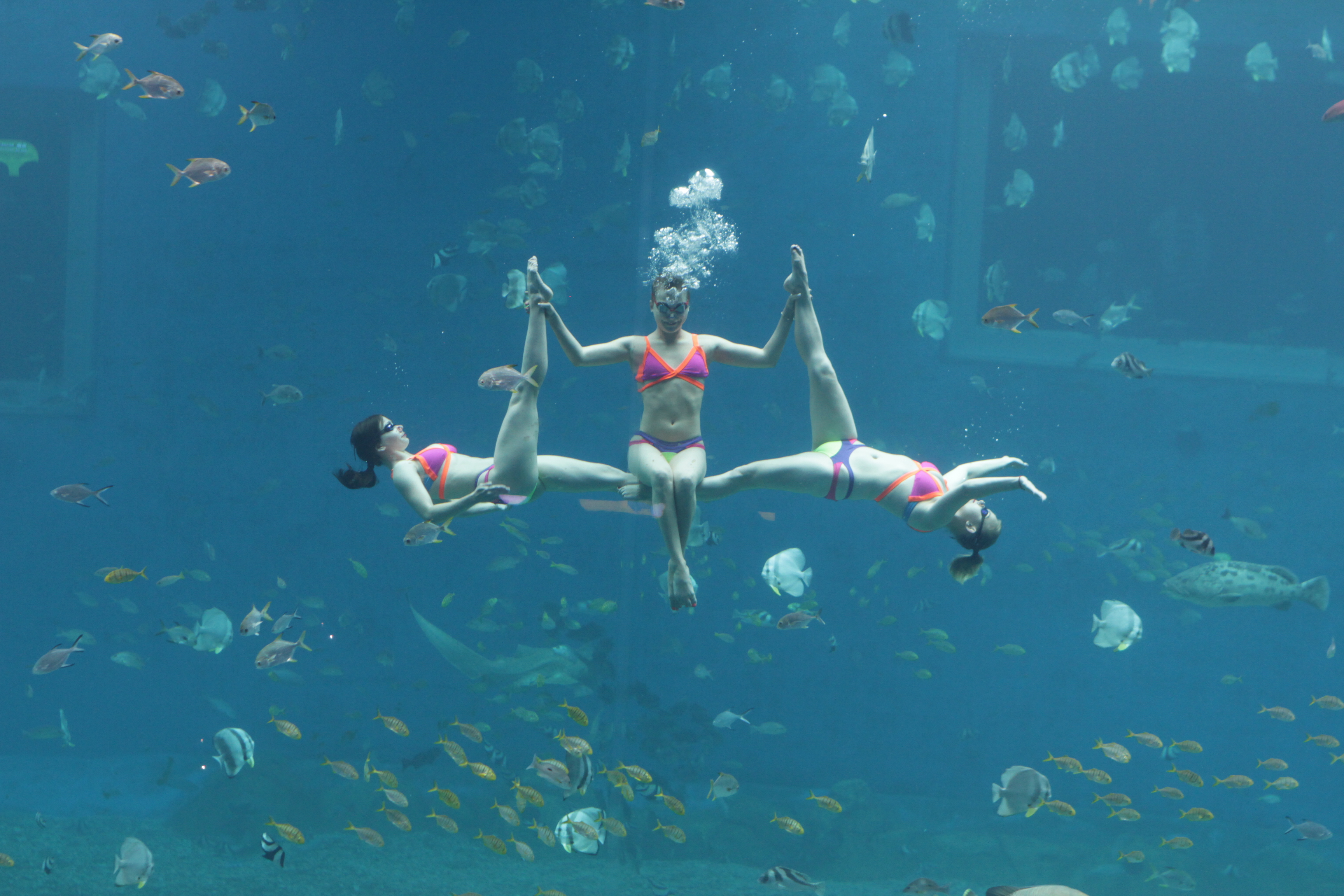 火热民宿,火热的民宿