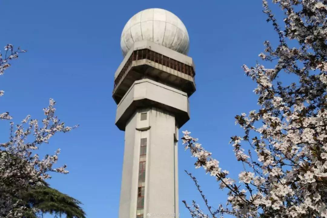 南京高校食堂最强评鉴，你报考的学校上榜了吗？