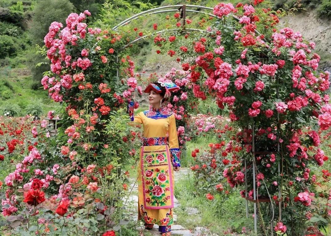 阿坝旅游网官网九寨沟,阿坝夏天二日游推荐