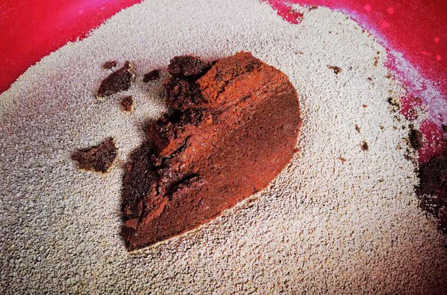 900元开启养鸡路，10年九死一生，创出“百草鸡”