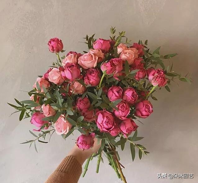 鲜花扎花束教程,手把手教你螺旋花束扎法