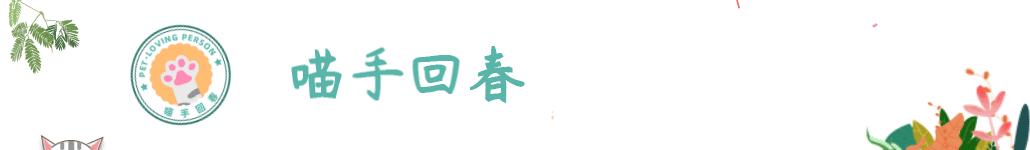 猫咪的尾巴为什么不受猫咪控制,猫咪是怎么控制尾巴的摆动