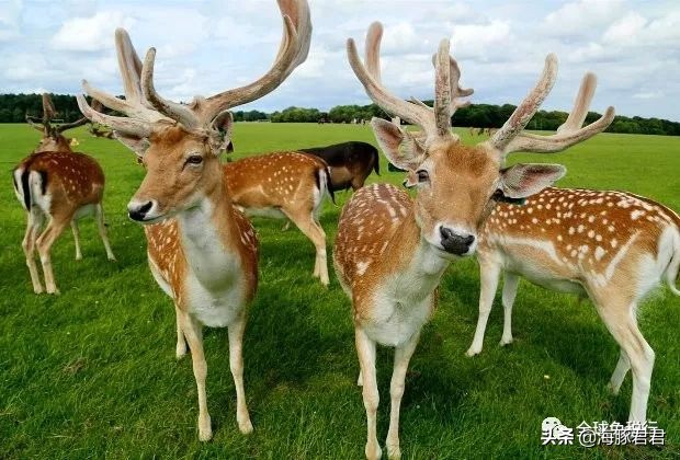 2020爱尔兰最全旅游购物攻略