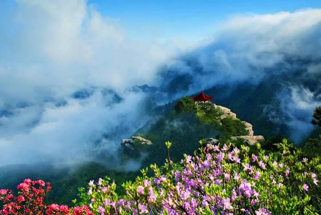 国内100条精华自驾路线地图攻略,江西旅游一条线攻略