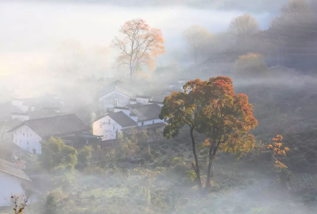 秋季人少景美的小众旅行地,最清静优雅的旅游之地